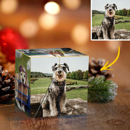 A three-dimensional cube displaying different photos of a gray and black Schnauzer dog on the sides, with a blurred background of lights and pinecones.