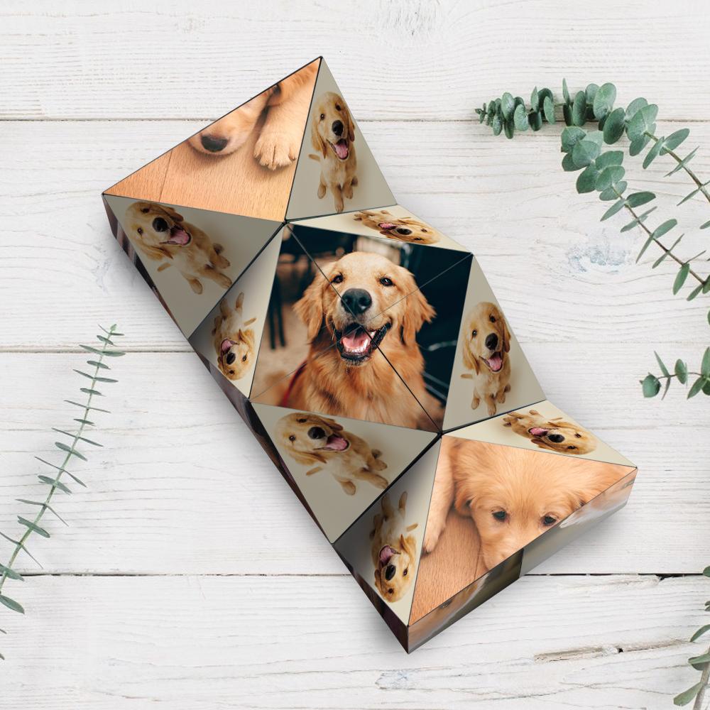 A 3D geometric photo display featuring multiple images of a Golden Retriever on a white wooden surface, surrounded by green leaves.